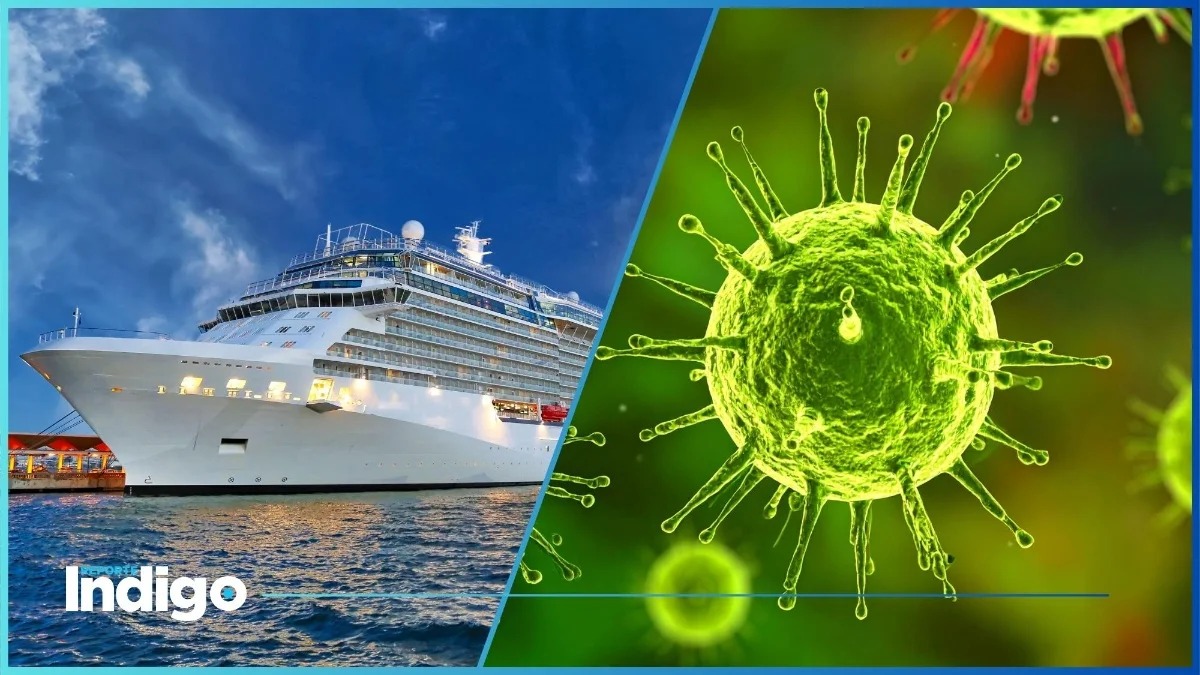 Brote de Virus